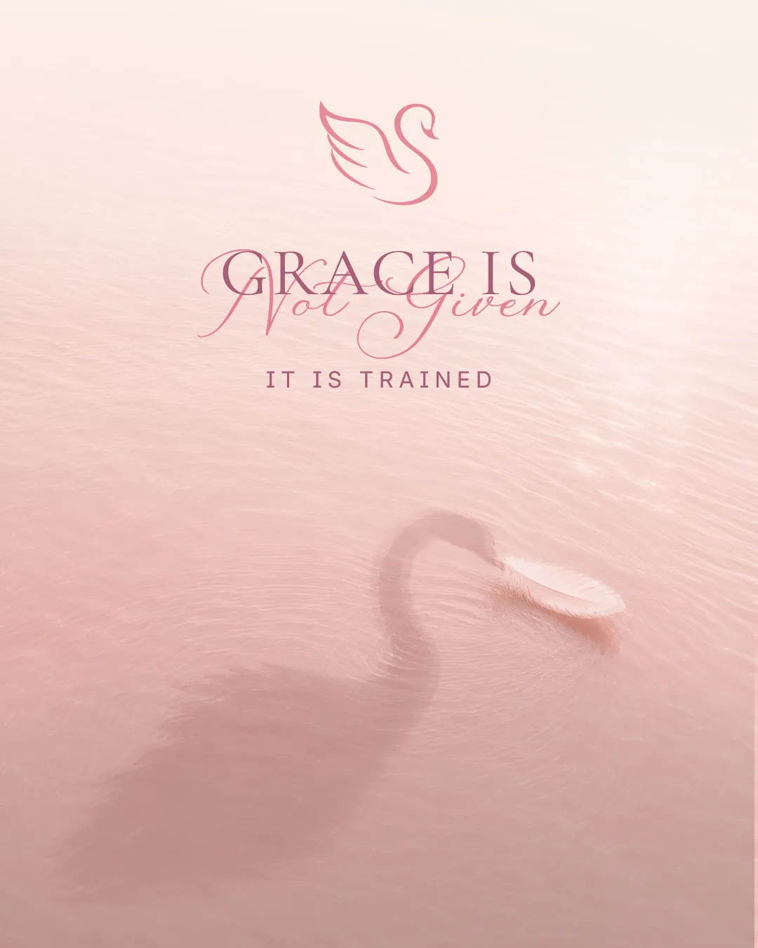 'Grace is not given, it is trained' — a swan's reflection